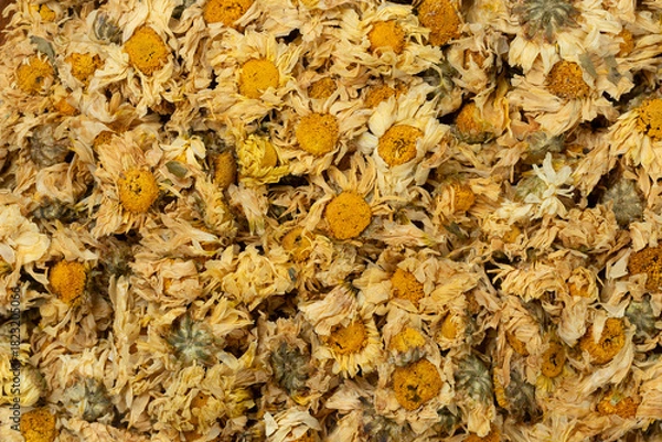 Fototapeta Pile of dried chrysanthemum flowers for a background. Top view