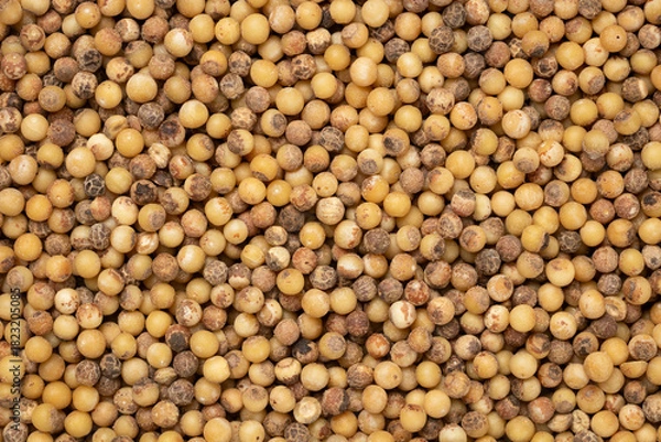 Fototapeta Pile of white peppercorns for background. Top view