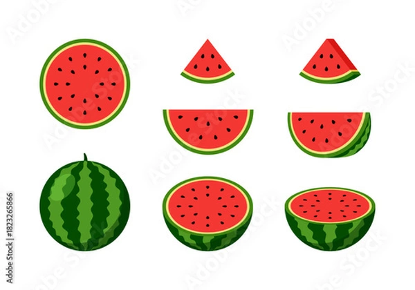 Fototapeta watermelon vector in various slices