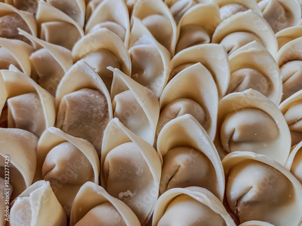 Obraz Raw Chicken Wonton Filling Wrapped in Dumpling Skins