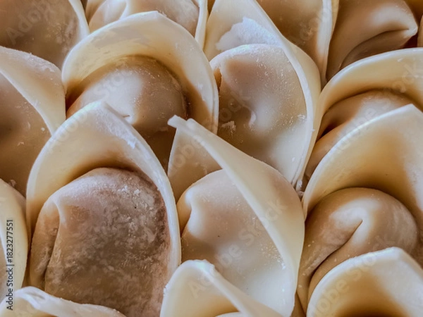 Obraz Raw Chicken Wonton Filling Wrapped in Dumpling Skins