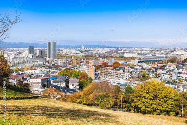 Obraz 東京　郊外の住宅地