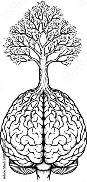 Obraz Tree growing out of the human brain representing knowledge growth and mental development