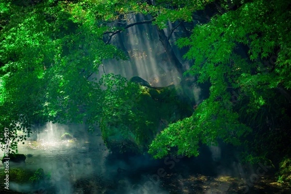 Obraz せせらぎのミスト