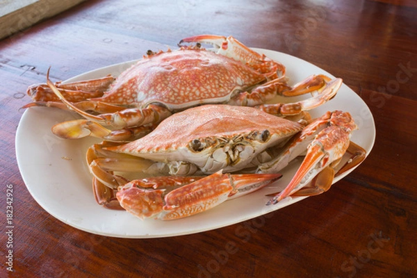 Obraz 渡り蟹の蒸し焼き（カニ/crab）