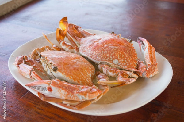 Obraz 渡り蟹の蒸し焼き（カニ/crab）