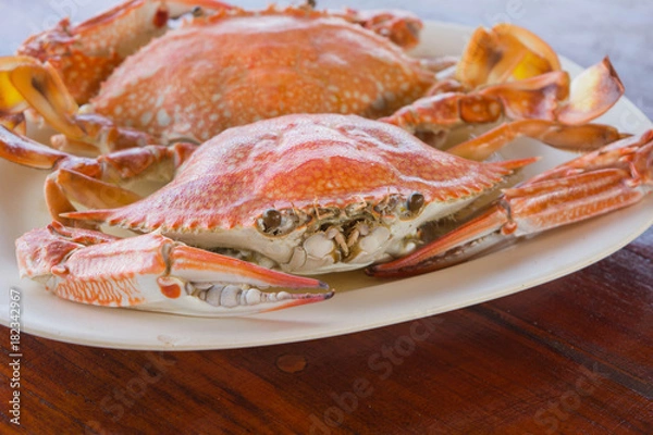 Obraz 渡り蟹の蒸し焼き（カニ/crab）