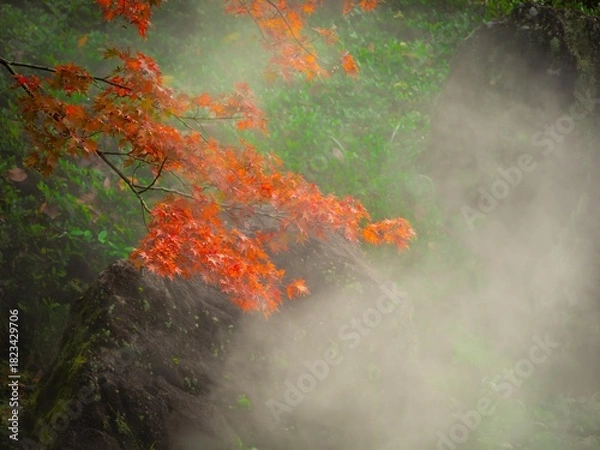 Obraz せせらぎのミスト