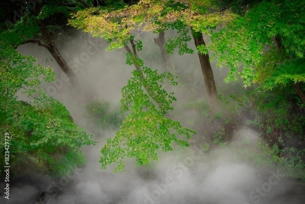 Obraz せせらぎのミスト