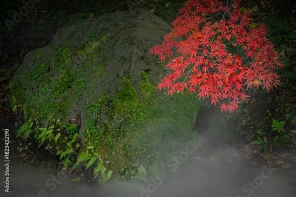 Obraz せせらぎのミスト