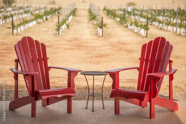 Fototapeta Date at the Vineyard