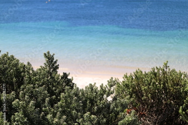 Obraz Australian beach