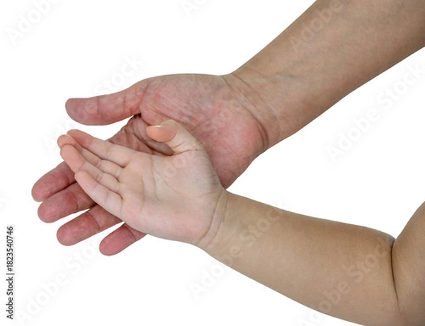 Fototapeta Adult and child hands from two generations, symbolizing care, guidance, and love passed down through time  isolated on white with clipping path.