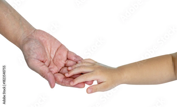 Fototapeta Adult and child hands from two generations, symbolizing care, guidance, and love passed down through time  isolated on white with clipping path.