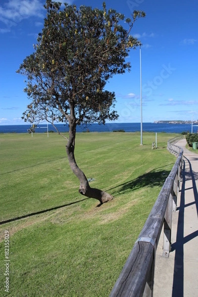 Fototapeta Playing field 