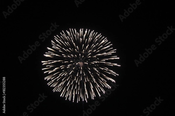 Obraz 會津全国煙火競演会の花火(福島県)