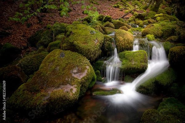 Fototapeta Moss-Covered Rocks and Stream in Argovejo beech Forest, León, Castilla y Leon, Spain