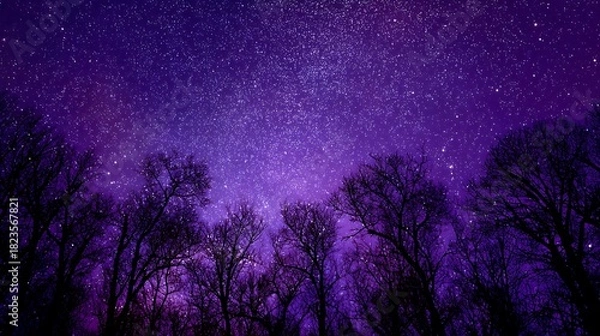 Fototapeta Mystical Purple Night Sky with Stars and Silhouetted Trees Capturing Celestial Beauty and Cosmic Serenity in Nature's Silence