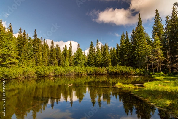Fototapeta Beautiful fir tree forests, pristine glacier lake, rocks and spring flowers in the Transylvanian Alps in summer