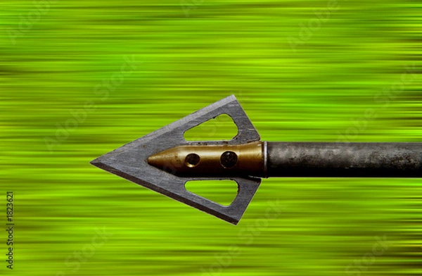 Obraz flying arrow