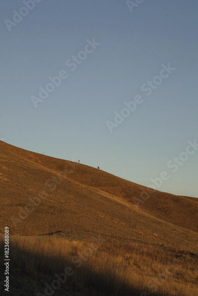 Obraz Nature and landscape view