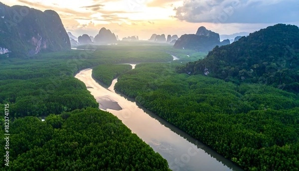 Obraz Aerial view of a river flowing through a lush, green forest, with mountains in the distance under a cloudy sky