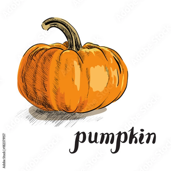 Obraz Orange Pumpkin Illustration