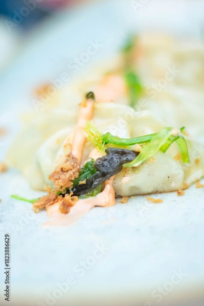 Fototapeta A close-up shot of gyoza garnished with sauce on a plate