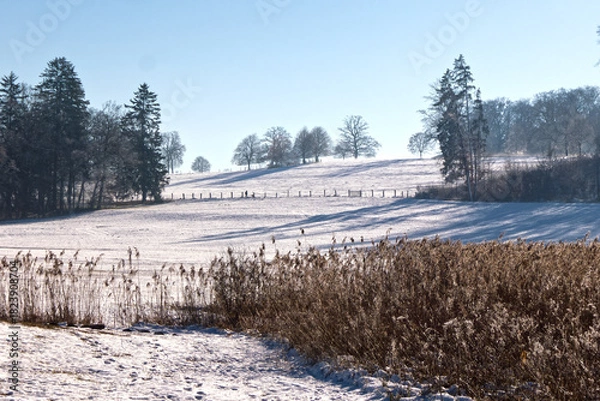 Obraz winterliche Landschaft im Schnee