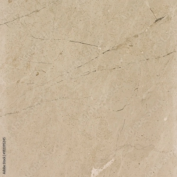 Obraz Honed Limestone Tile Texture