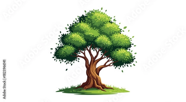 Fototapeta Beautiful and lush green oak tree with a strong trunk and detailed leaves isolated on a white background for a nature design.
