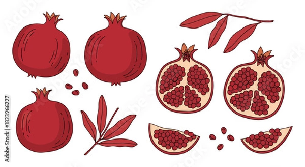 Fototapeta Collection of hand-drawn red pomegranate illustrations including whole fruit slices seeds and leaves isolated on a white background.