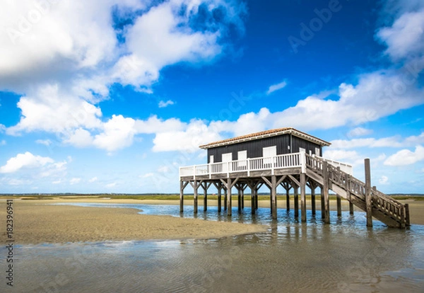 Obraz beautiful house in the basin of Arcachon