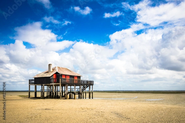 Obraz beautiful house in the basin of Arcachon