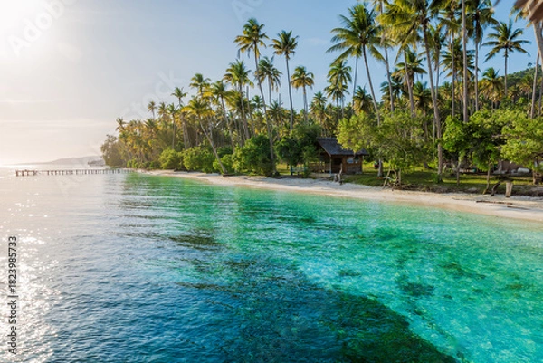 Fototapeta Beach with palm trees and quiet sea in tropical island