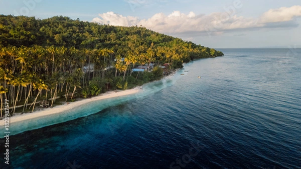Fototapeta Tropical coastline with palm trees, mountain and sunrise tones