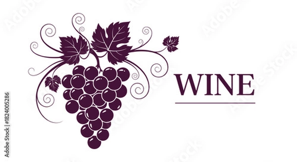 Fototapeta Elegant illustration features a stylized cluster of deep purple grapes with delicate leaves and tendrils accompanied by the word WINE.