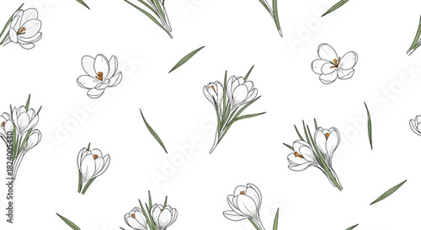 Fototapeta Delicate seamless pattern displays beautiful white crocus flowers with green leaves elegantly rendered in a hand-drawn outline style.