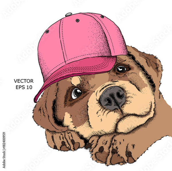 Obraz Hipster dog in cap. Vector illustration