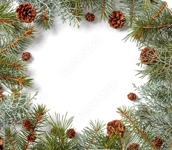 Obraz Fir branches and cones flat lay