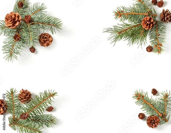 Obraz Fir branches and cones