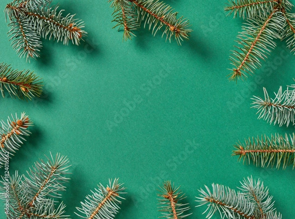 Obraz Fir tree branches on green