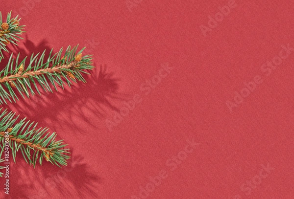Obraz Fir branch on red background with shadow