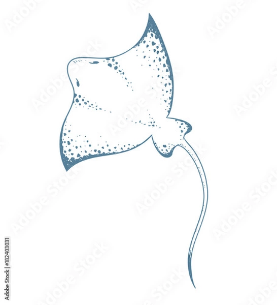Fototapeta Devil ray. Vector illustration.