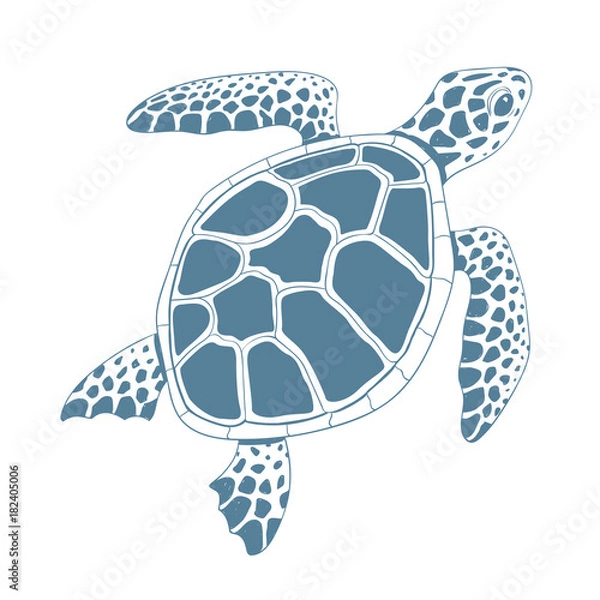 Fototapeta Graphic turtle. Vector illustration.