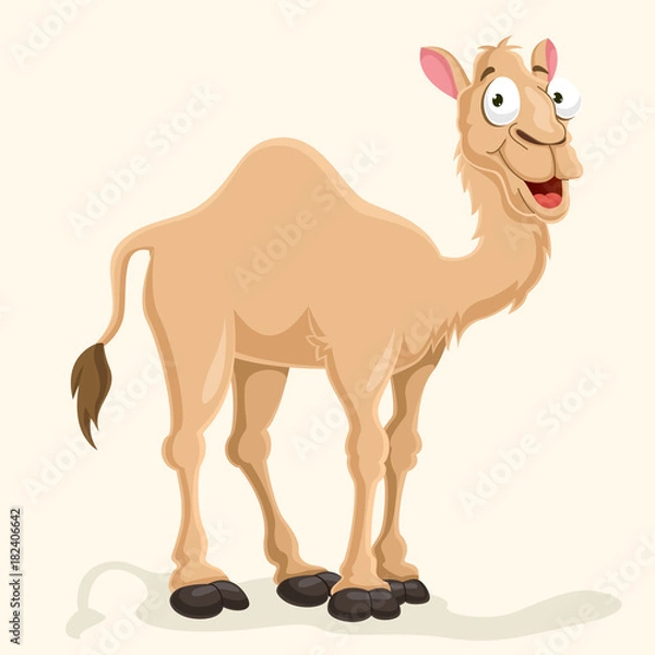 Fototapeta Camel Vector Illustration