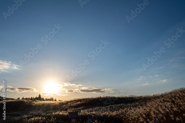 Obraz 夕焼けの光が眩しい、ススキが美しい曽禰高原の素朴な田舎の景色
