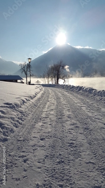 Obraz Weg am See im Winter
