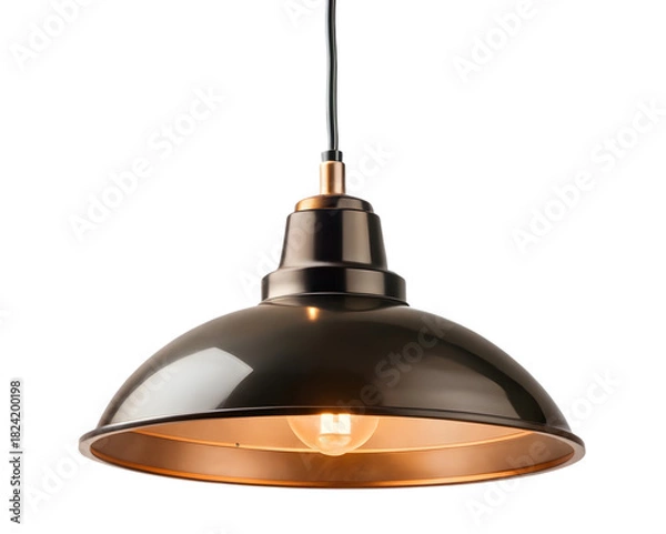 Fototapeta Industrial pendant light fixture isolated on transparent background