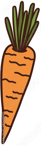 Fototapeta Simple Carrot Hand Drawn Vector Illustration